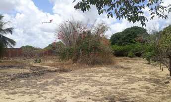 Imagem 7: Excelente terreno na Tapera - Aquiraz