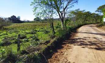 Imagem 5: Chácara com 1 dormitório à venda, 45000 m² por R$ 450.000,00 - Fazenda Leão - Sapiranga/RS