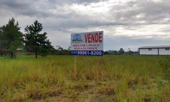 Imagem 2: Excelente Terreno Industrial