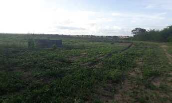 Imagem 3: Linda Fazenda com 25 hectares na região de boa saúde