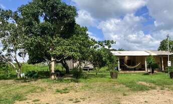 Imagem 3: Vendo chácara 3 alqueires lugar ótimo com casas rios etc