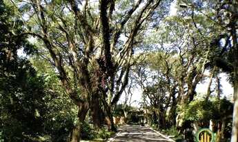 Imagem 3: Cond. Vila Vianna - Lote 3: 519,57m²