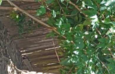 Imagem 6: Residência Casa com 1 dormitório