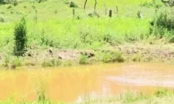 Imagem 5: Fazenda/Sítio/Chácara para venda com 200 metros quadrados com 3 quartos