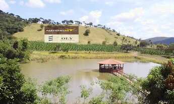 Imagem 6: Fazenda Premium 25 Alqueires ! Região de Heitoraí ! Oportunidade !