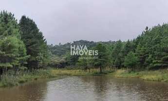 Imagem 1: Fazenda à venda, Borda do Campo, São José dos Pinhais, PR