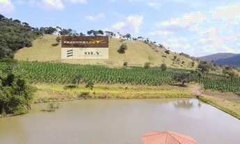 Imagem 5: Fazenda Premium 25 Alqueires ! Região de Heitoraí ! Oportunidade !