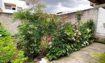 Imagem 4: Juiz de Fora - Casa Padrão - Democrata