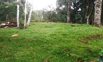 Imagem 7: Excelente chácara