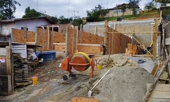 Imagem 7: Excelente Geminado Floresta