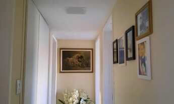 Imagem 6: Aracaju - Apartamento Padrão - São José