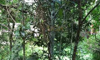 Imagem 7: Lote / Terreno em Cascatinha - Nova Friburgo