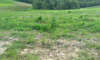 Imagem 2: Lote/Terreno para venda tem 1000 metros quadrados em Gramado - Cotia - SP