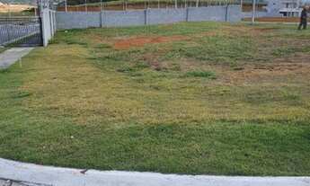 Imagem: Oportunidade única