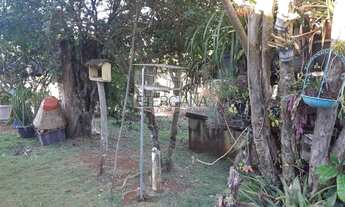 Imagem 7: BORDA DA MATA - Sítio - Serrinha