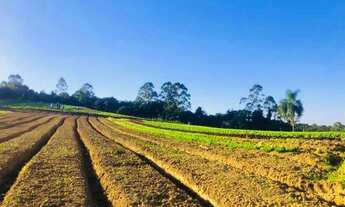 Imagem 4: Terrenos Planos e Limpos Para Sua Casa de Campo em Ibiúna - SP