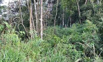 Imagem 6: São Lourenço da Serra - Terreno Padrão - Despésio