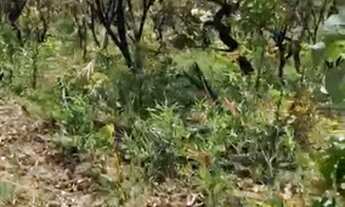 Imagem 5: Oportunidade! Vende-se um fazenda de 166 Alqueires