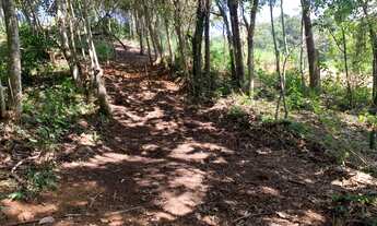 Imagem 7: Terreno para lazer e diversao