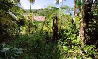 Imagem 7: Sítio à venda, 23834 m² por R$ 250.000,00 - Patrimônio - Massaranduba/SC