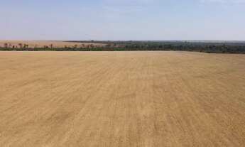 Imagem 5: Fazenda Município Feliz Natal - MT