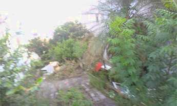 Imagem 3: Comercial-São Paulo-IPIRANGA