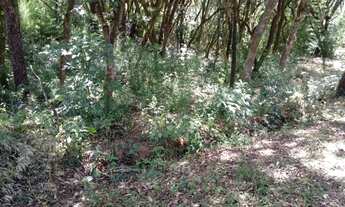 Imagem 6: Terreno em Jarinu SP / Estancia Maracanã / AT 820m²