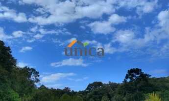 Imagem 3: Terreno - Campo Alegre