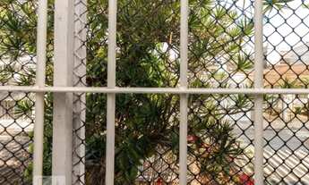 Imagem 12: Lote/Terreno para venda possui 300 m2 - TERRENO 10 POR 30M na Vila Ponte Rasa