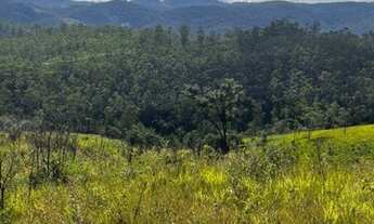 Imagem 3: GF3-50mil a vista em seu sonho