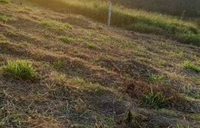 Imagem 4: Localizado em Caucaia do Alto- Cotia SP