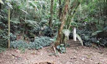Imagem 3: ANTôNIO CARLOS - Padrão - Rocinha