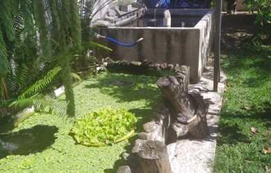 Imagem 2: Mini Chácara com Área de 698m2, Casa de 2 dormitórios, edícula e muito mais à venda, por