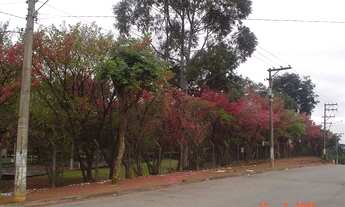 Imagem 5: Sensacional Terreno 39.040 m2 Infraestrutura completa, em frente a rodovia Dutra em Cumbic