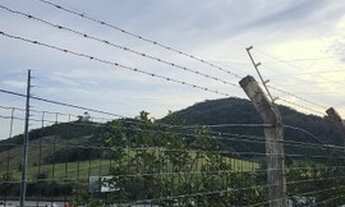 Imagem 4: Terreno 1 Hectare/10.000m² à 50m da BR-101. Costa da Lagoa - Jaguaruna/SC