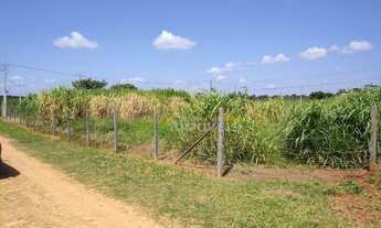 Imagem 3: Chácara com 3 dormitórios à venda, 8000 m² por R$ 500.000,00 - Piracambaia I - Campinas/SP