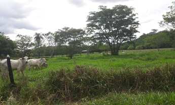 Imagem 7: FAZENDINHAS premium em Araçaí