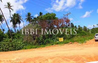 Imagem 2: Grande Área Em Imbassaí