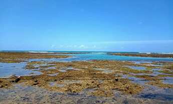 Imagem: Apts em Porto de Galinhas pertinho do mar