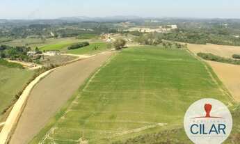 Imagem 5: Mandirituba - Terreno Padrão