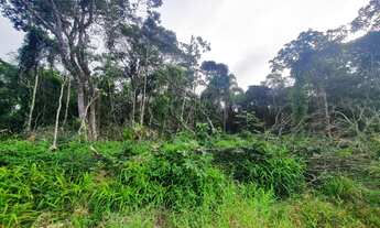 Imagem 4: Terreno Em Itapoá Sc. 375 m² Pra Investimento No Balneário Rosa Dos Ventos