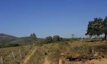 Imagem 5: Fazenda a venda em Uruana - GO