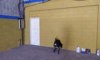 Imagem 6: Galpão em Barueri Jd California 600m + 500m de estacionamento 15.000