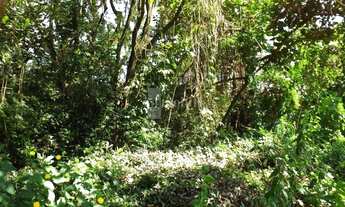 Imagem 3: TERRENO NO CONDOMÍNIO FOREST HILLS COM EXCELENTE TOPOGRAFIA! VALE A PENA CONFERIR!