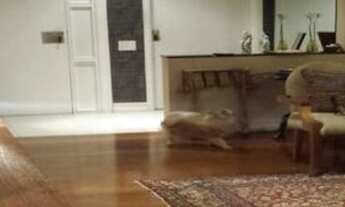 Imagem 5: SAO JOSE DOS CAMPOS - Residential / Apartment - VILA EMA