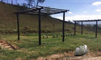 Imagem 4: Casa estilo chácara em zona rural