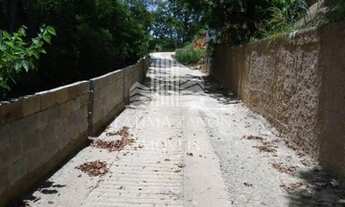 Imagem 6: Terreno em Areal