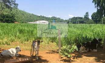 Imagem 7: Palmas - Chácara - Taquarussu