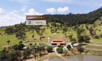 Imagem 3: Fazenda Premium 25 Alqueires ! Região de Heitoraí ! Oportunidade !