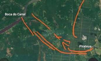 Imagem 5: Vendo Fazenda Mojú 5.000 hectares